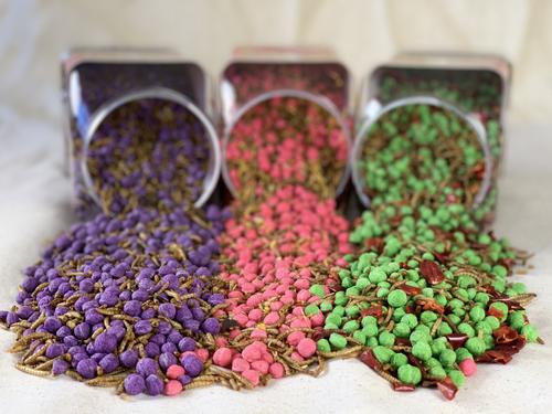 Show full view: Happy Hen Treats Free Range Feast Mealworm & Herb Blend Chicken Treats, 2-lb jar slide 2 of 4