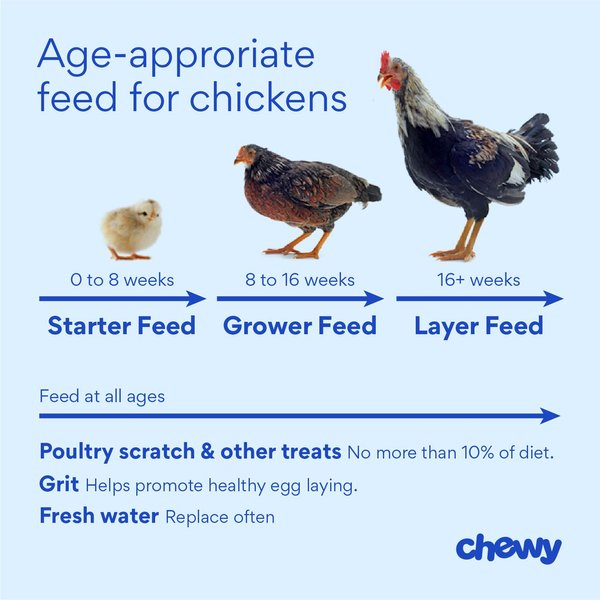 Show full view: Happy Hen Treats Mealworm Frenzy Poultry Treats, 10-oz bag slide 5 of 6