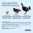 Show in main carousel: Happy Hen Treats Mealworm Frenzy Poultry Treats, 10-oz bag slide 5 of 6