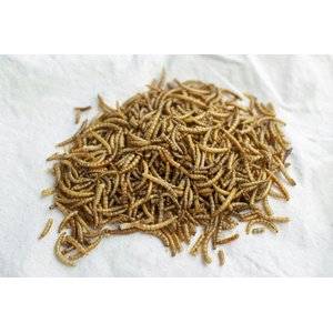 Happy Hen Treats Mealworm Frenzy Poultry Treats, 30-oz bag