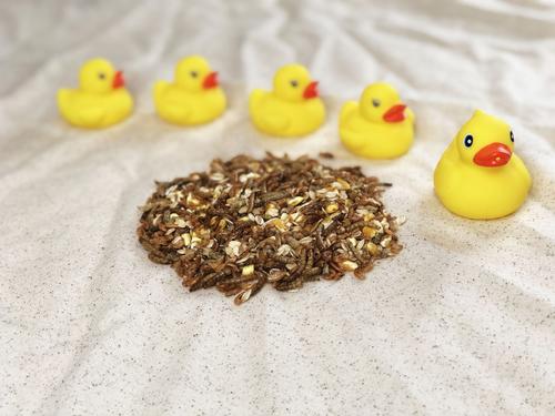 Show full view: Happy Hen Treats Pond Medley Duck Treats, 2-lb bag slide 3 of 5