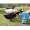 Show in main carousel: Happy Hen Treats Pond Medley Duck Treats, 2-lb bag slide 4 of 5
