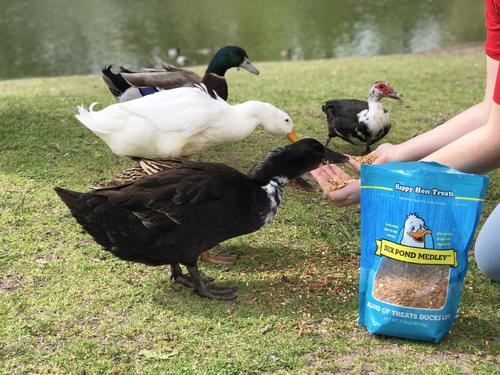 Show full view: Happy Hen Treats Pond Medley Duck Treats, 2-lb bag slide 4 of 5
