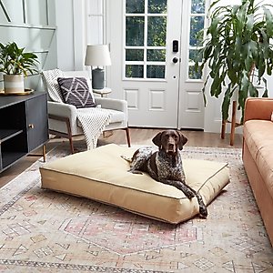 Happy Hounds Bailey Rectangle Pillow Dog Bed with Removable Cover, Cream, Large