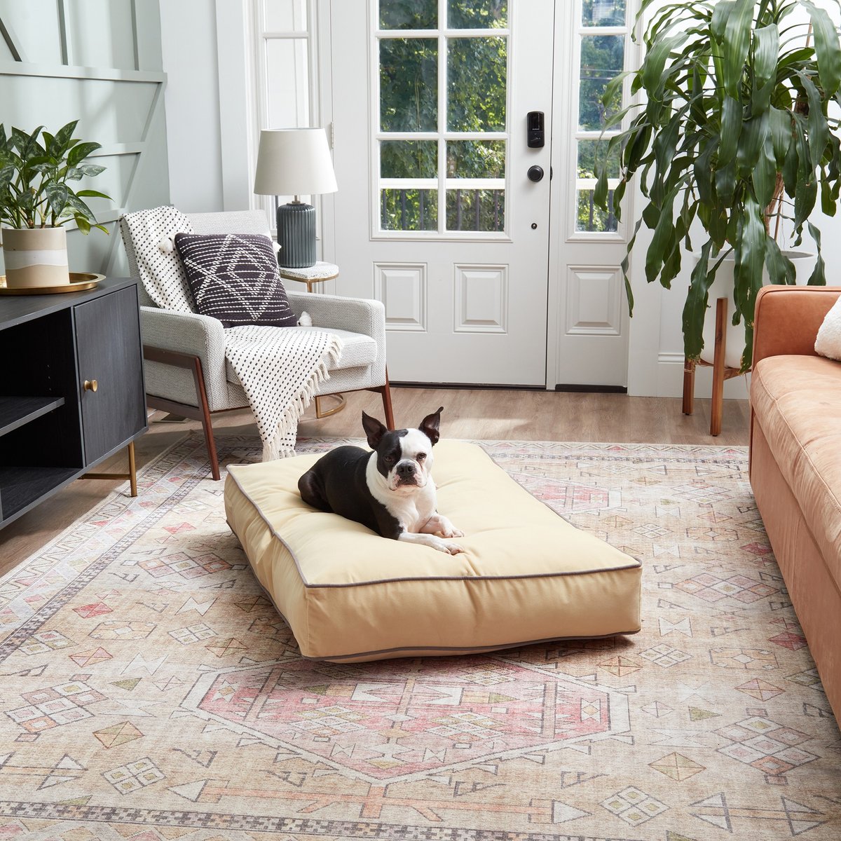 Happy Hounds Bailey Rectangle Pillow Dog Bed with Removable Cover, Cream, Medium
