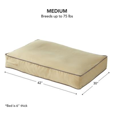 Show full view: Happy Hounds Bailey Rectangle Pillow Dog Bed with Removable Cover, Cream, Medium slide 3 of 9