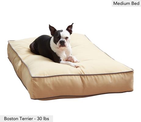Show full view: Happy Hounds Bailey Rectangle Pillow Dog Bed with Removable Cover, Cream, Medium slide 2 of 9