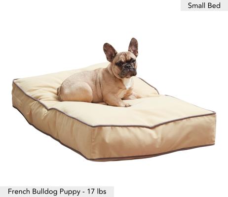 Show full view: Happy Hounds Bailey Rectangle Pillow Dog Bed with Removable Cover, Cream, Small slide 2 of 9