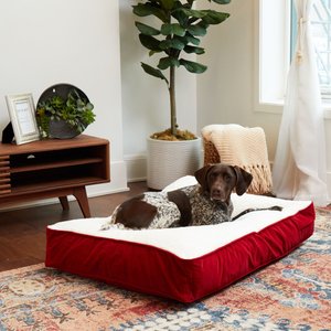 Happy Hounds Bailey Rectangle Pillow Dog Bed with Removable Cover, Crimson, Medium