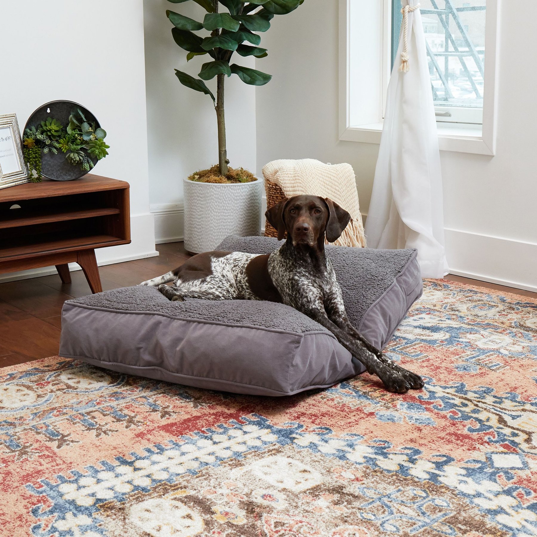 Happy Hounds Bailey Rectangle Pillow Dog Bed with Removable Cover, Gray, Medium