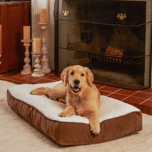 Happy Hounds Bailey Rectangle Pillow Dog Bed with Removable Cover, Latte/Birch, Small
