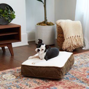 Happy Hounds Bailey Rectangle Pillow Dog Bed with Removable Cover, Latte/Birch, X-Small