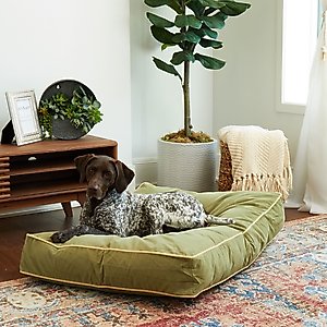 Happy Hounds Bailey Rectangle Pillow Dog Bed with Removable Cover, Moss, Medium