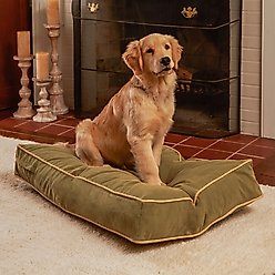 Happy Hounds Bailey Rectangle Pillow Dog Bed with Removable Cover, Moss, Small