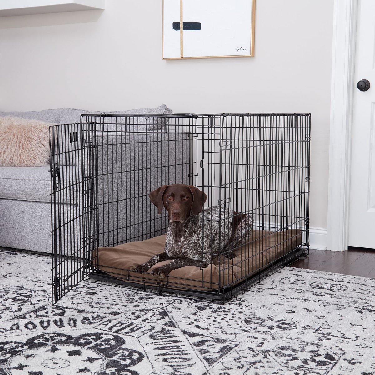 Happy Hounds Carson Deluxe Dog Crate Pad, Latte, 42-in