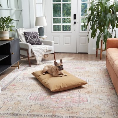 Happy Hounds Happy Hounds Cleo Corduroy Throw Dog Bed with Removable Cover, Camel, Small