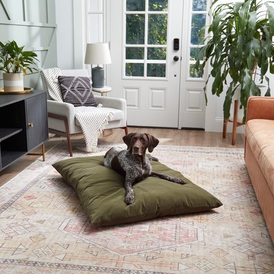 Happy Hounds Happy Hounds Cleo Corduroy Throw Dog Bed with Removable Cover, Sage Green, Large