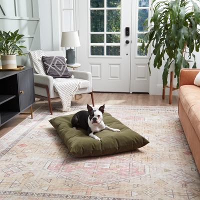 Show full view: Happy Hounds Cleo Corduroy Throw Dog Bed with Removable Cover, Sage Green, Medium slide 1 of 9