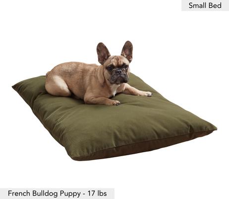 Show full view: Happy Hounds Cleo Corduroy Throw Dog Bed with Removable Cover, Sage Green, Small slide 2 of 8