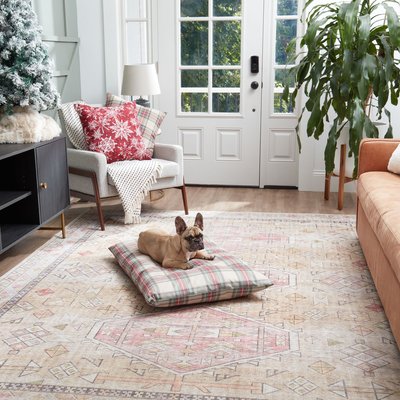 Happy Hounds Happy Hounds Cleo Holiday Throw Dog & Cat Bed with Removable Cover, Holiday Plaid, Small