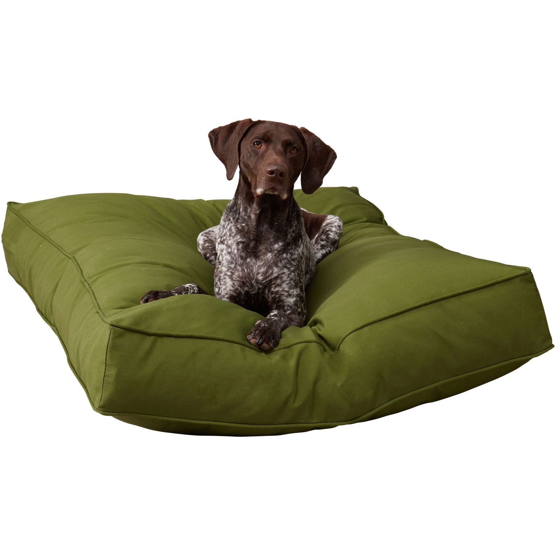 Happy Hounds Cooper Rectangle Indoor/Outdoor Dog Bed, Hunter, Large