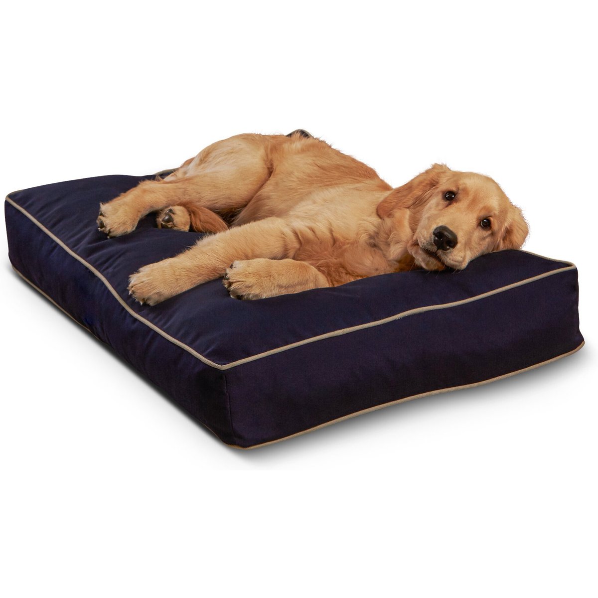 Happy Hounds Cooper Rectangle Indoor/Outdoor Dog Bed, Navy, Small