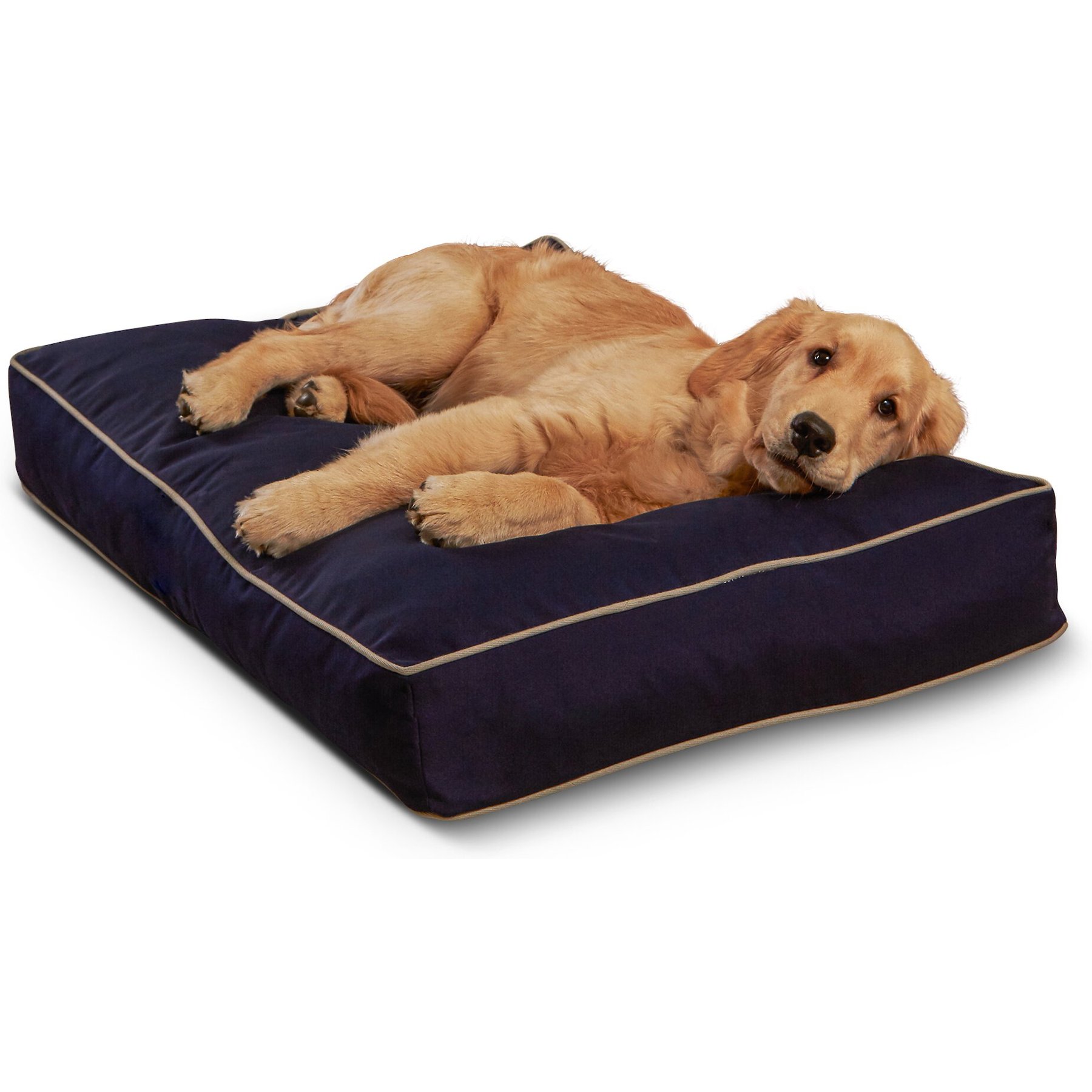 Happy Hounds Cooper Rectangle Indoor/Outdoor Dog Bed, Navy, Small
