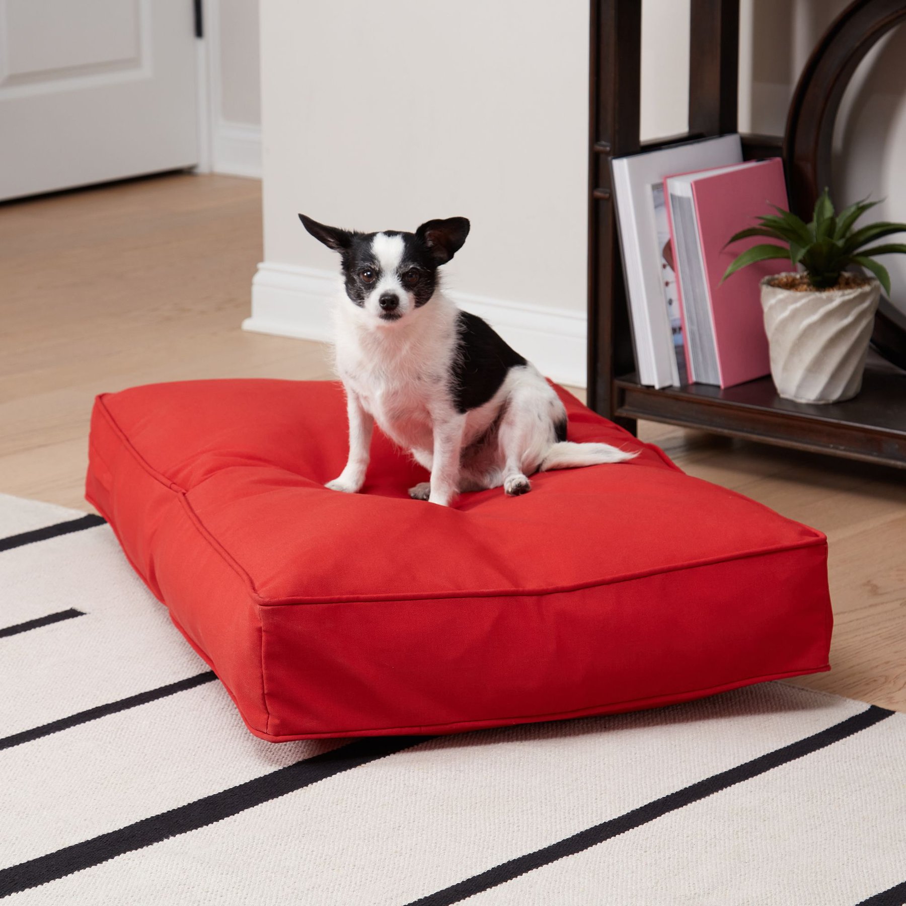Happy Hounds Cooper Rectangle Indoor/Outdoor Dog Bed, Salsa, Small