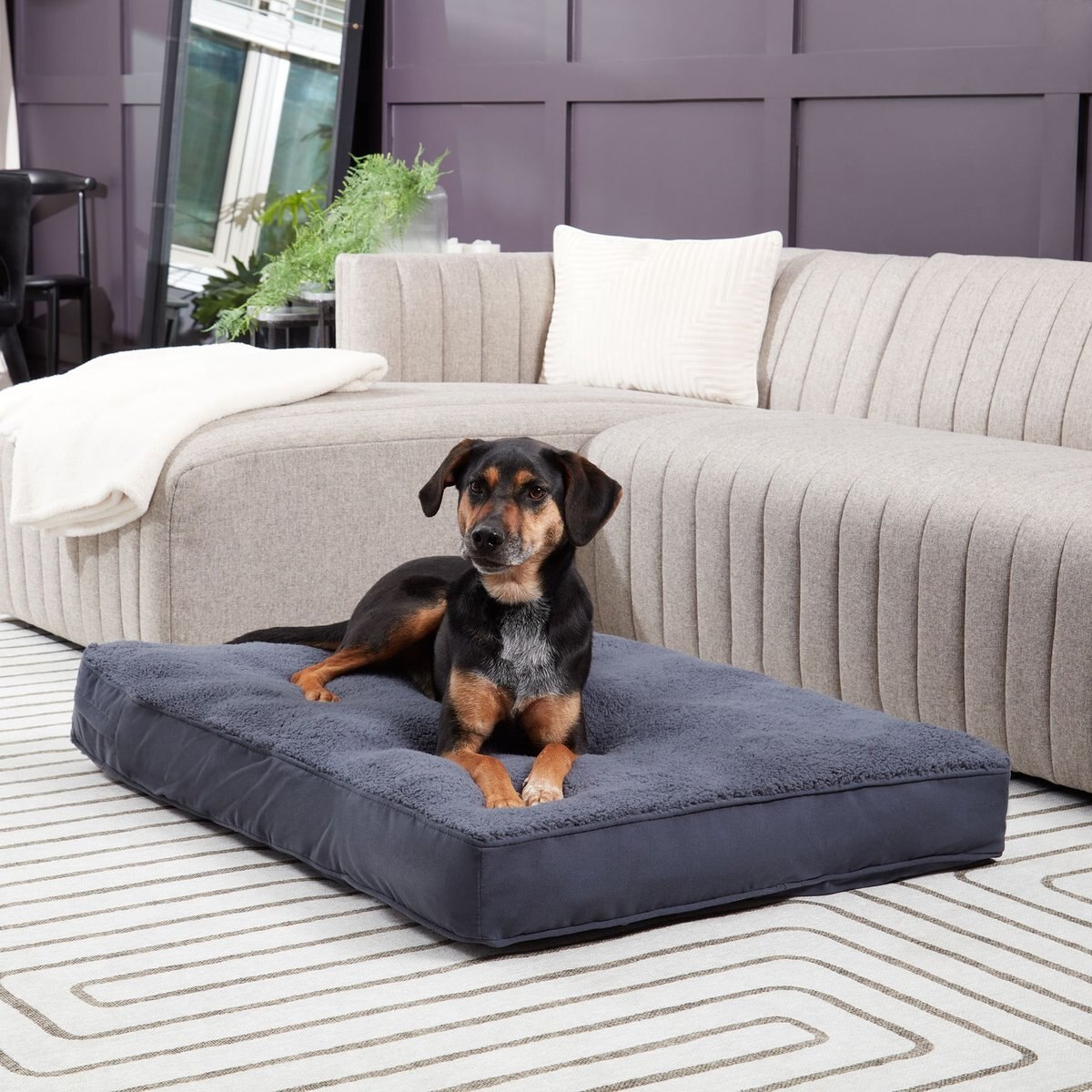Happy Hounds Dolly Deluxe Supportive Dog & Cat Bed