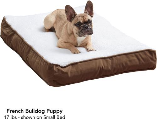 Show full view: Happy Hounds Dolly Deluxe Supportive Dog & Cat Bed, Latte, Small slide 2 of 8