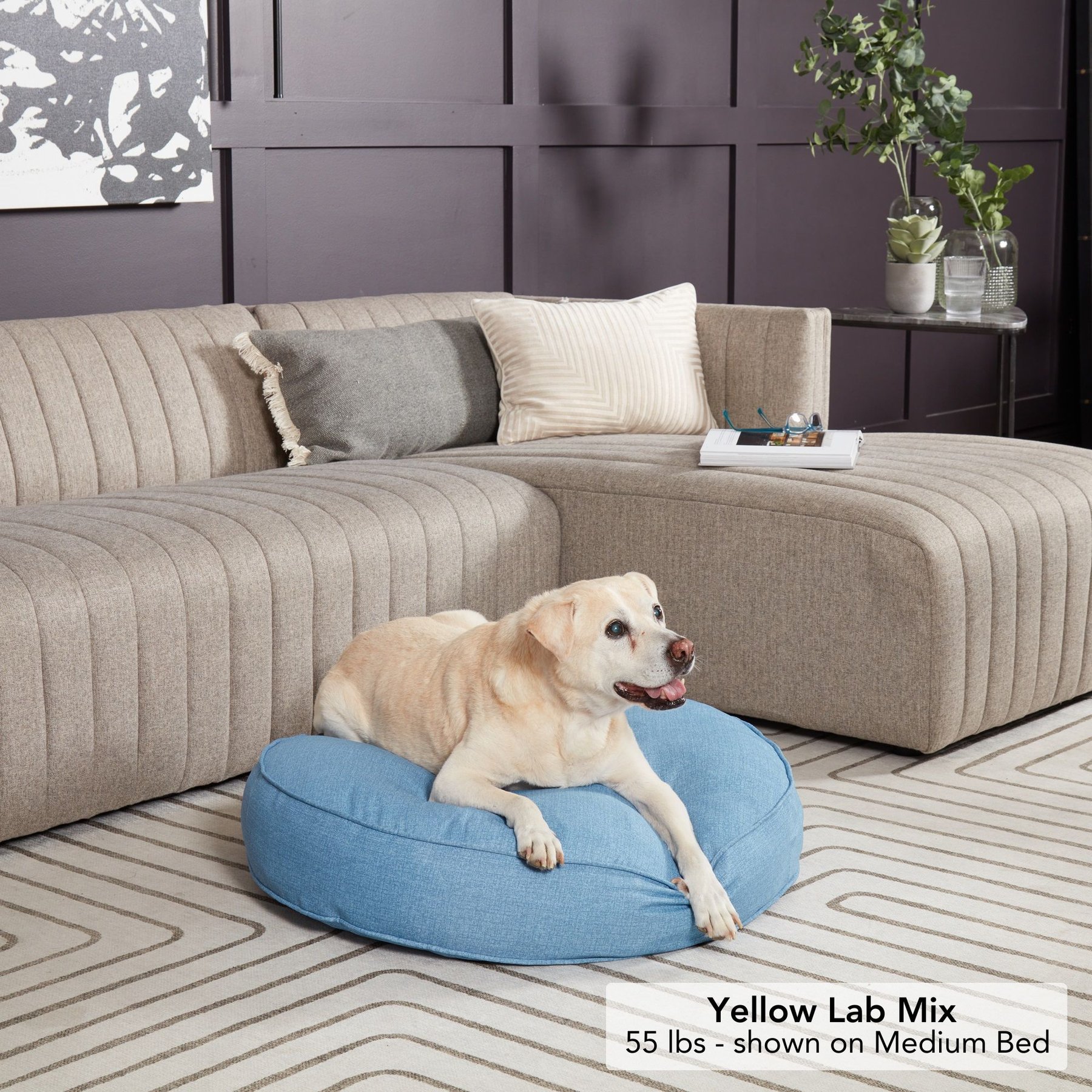 Happy Hounds Gordon Indoor/Outdoor Round Pillow Dog & Cat Bed with Removable Cover, Denim, Medium