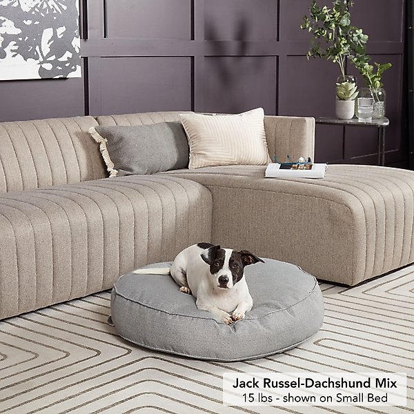 Show full view: Happy Hounds Gordon Indoor/Outdoor Round Pillow Dog & Cat Bed with Removable Cover, Heather, Small slide 1 of 8