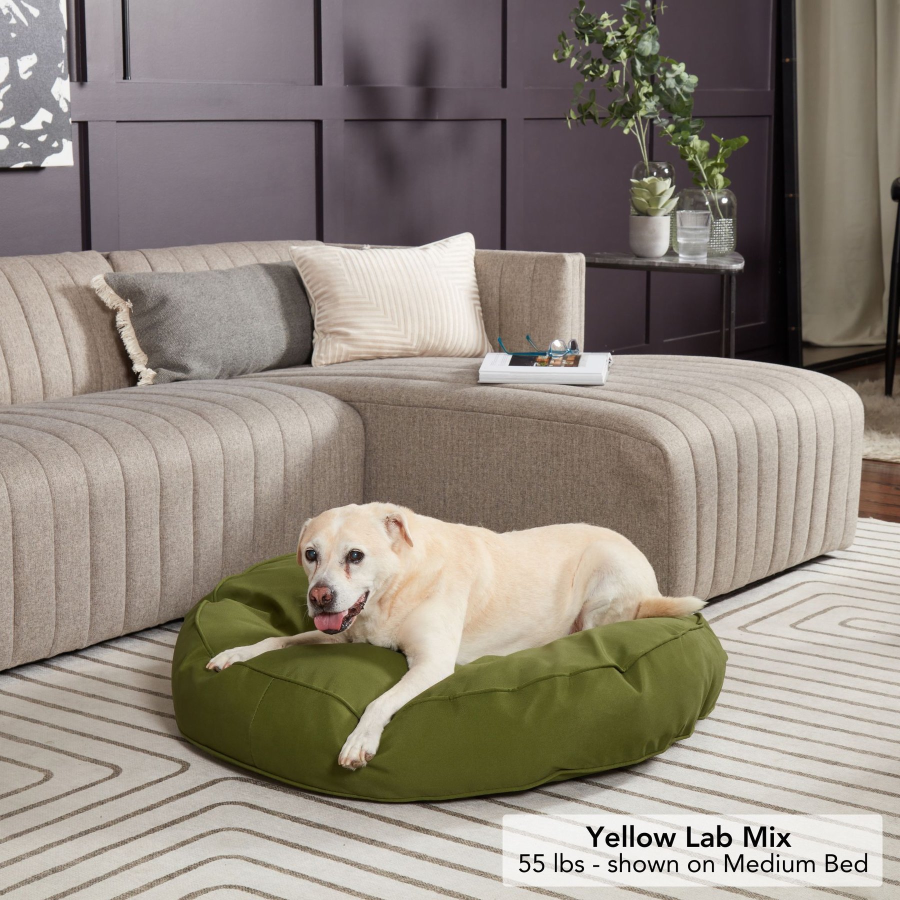Happy Hounds Gordon Indoor/Outdoor Round Pillow Dog & Cat Bed with Removable Cover, Hunter, Medium