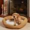 Show in main carousel: Happy Hounds Marley Donut Dog Bed, Cream, Medium slide 1 of 9