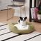 Show in main carousel: Happy Hounds Marley Donut Dog Bed, Moss, Small slide 1 of 10