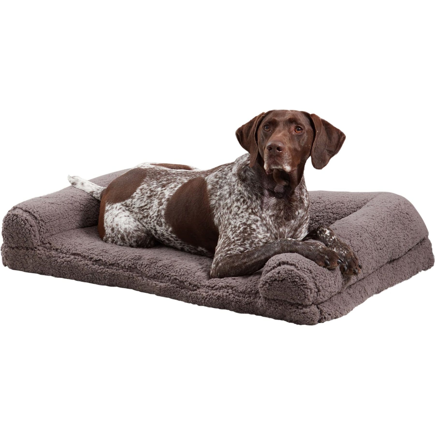 Happy Hounds Millie Sherpa Sofa Dog Bed, Fossil, Large