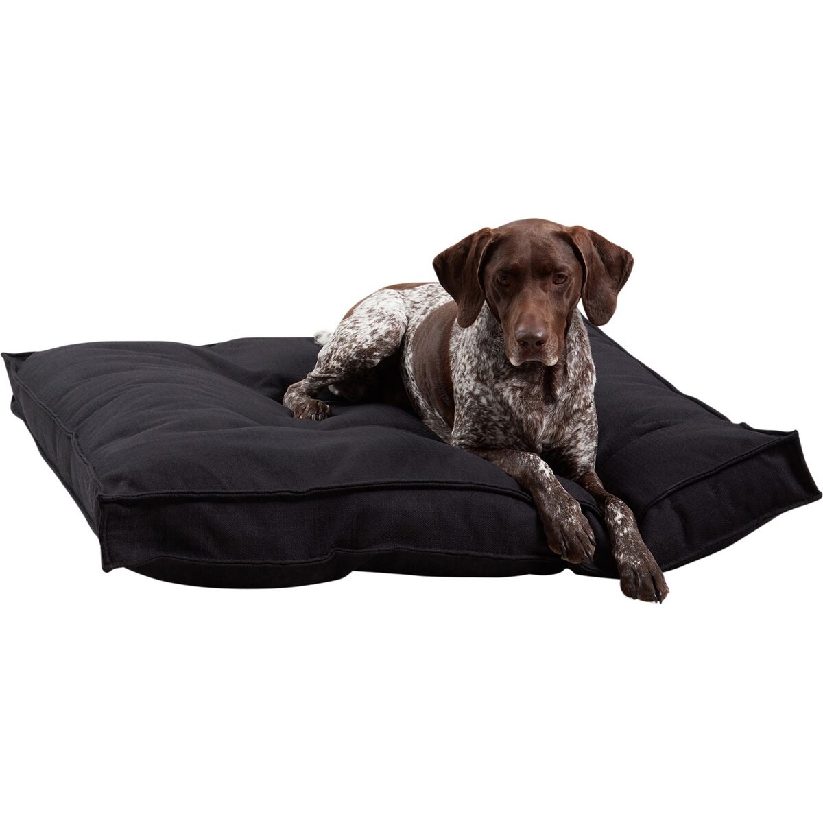 Happy Hounds Milo Square Tufted Pillow Dog Bed, Black, Large