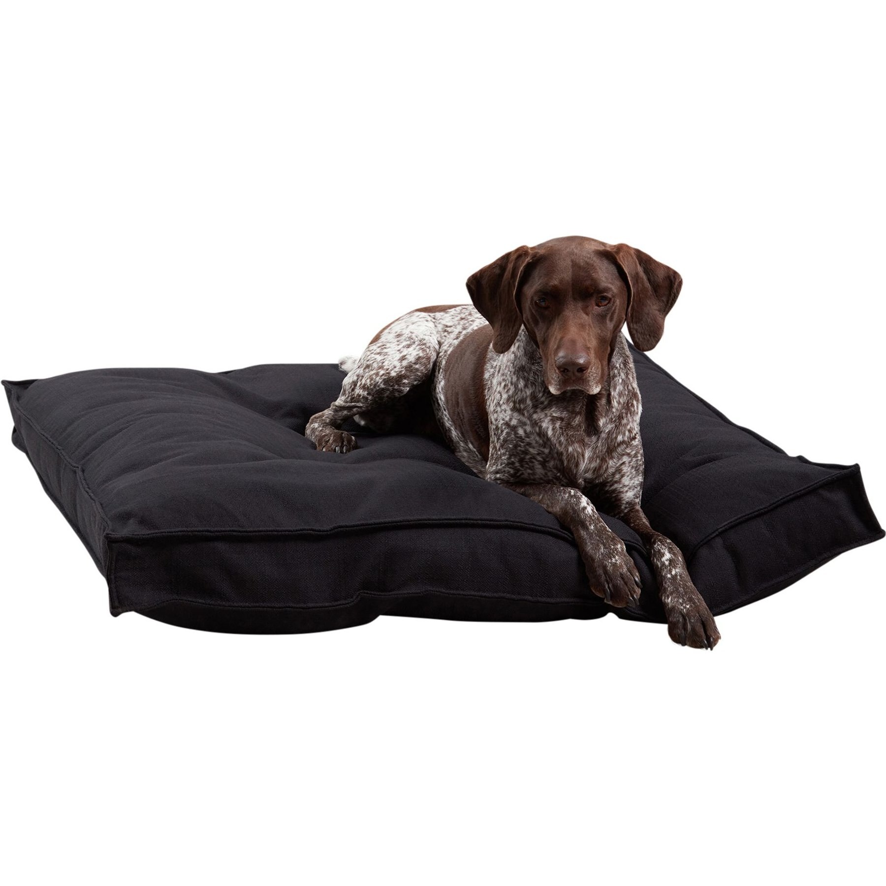 Happy Hounds Milo Square Tufted Pillow Dog Bed, Black, Large