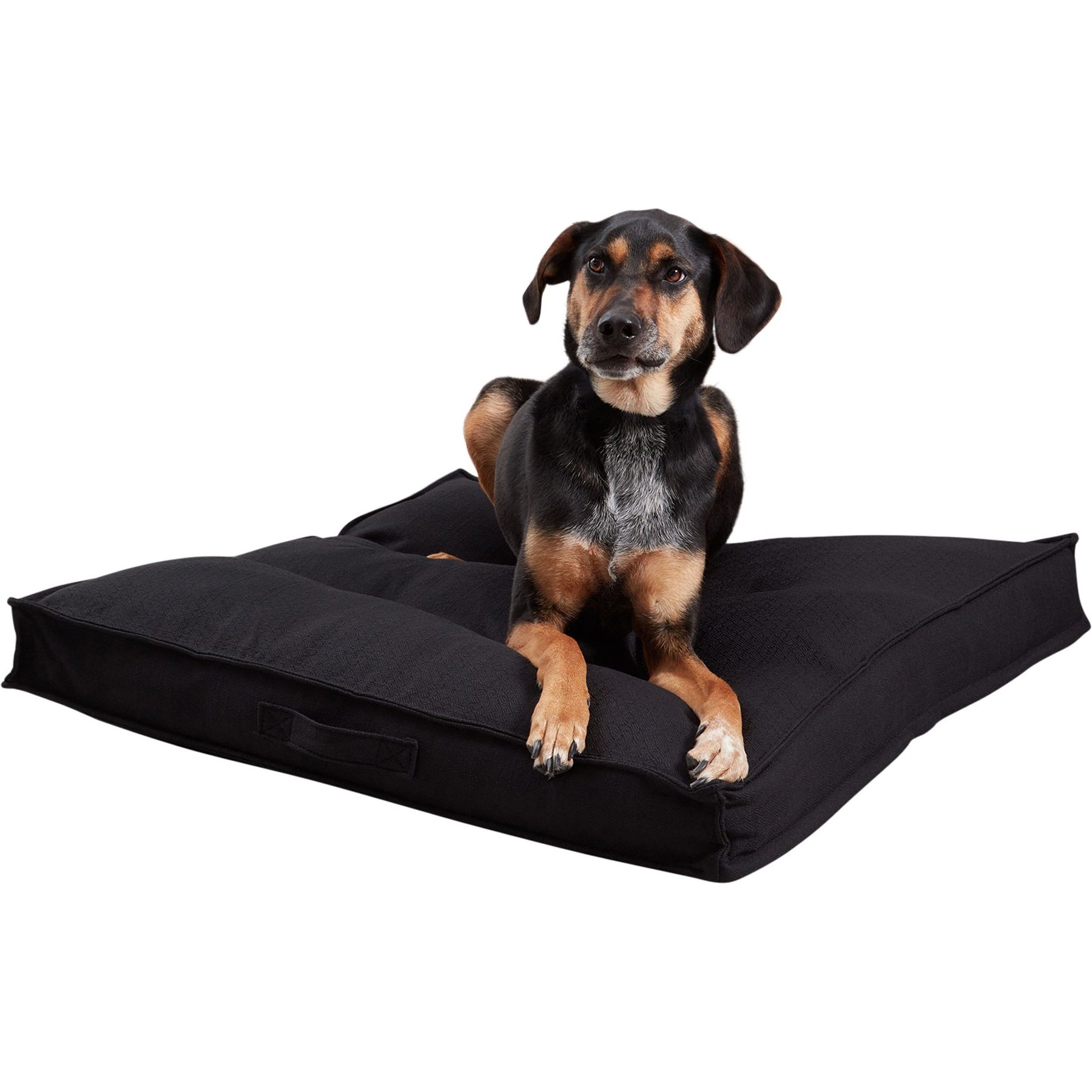 Happy Hounds Milo Square Tufted Pillow Dog Bed, Black, Medium