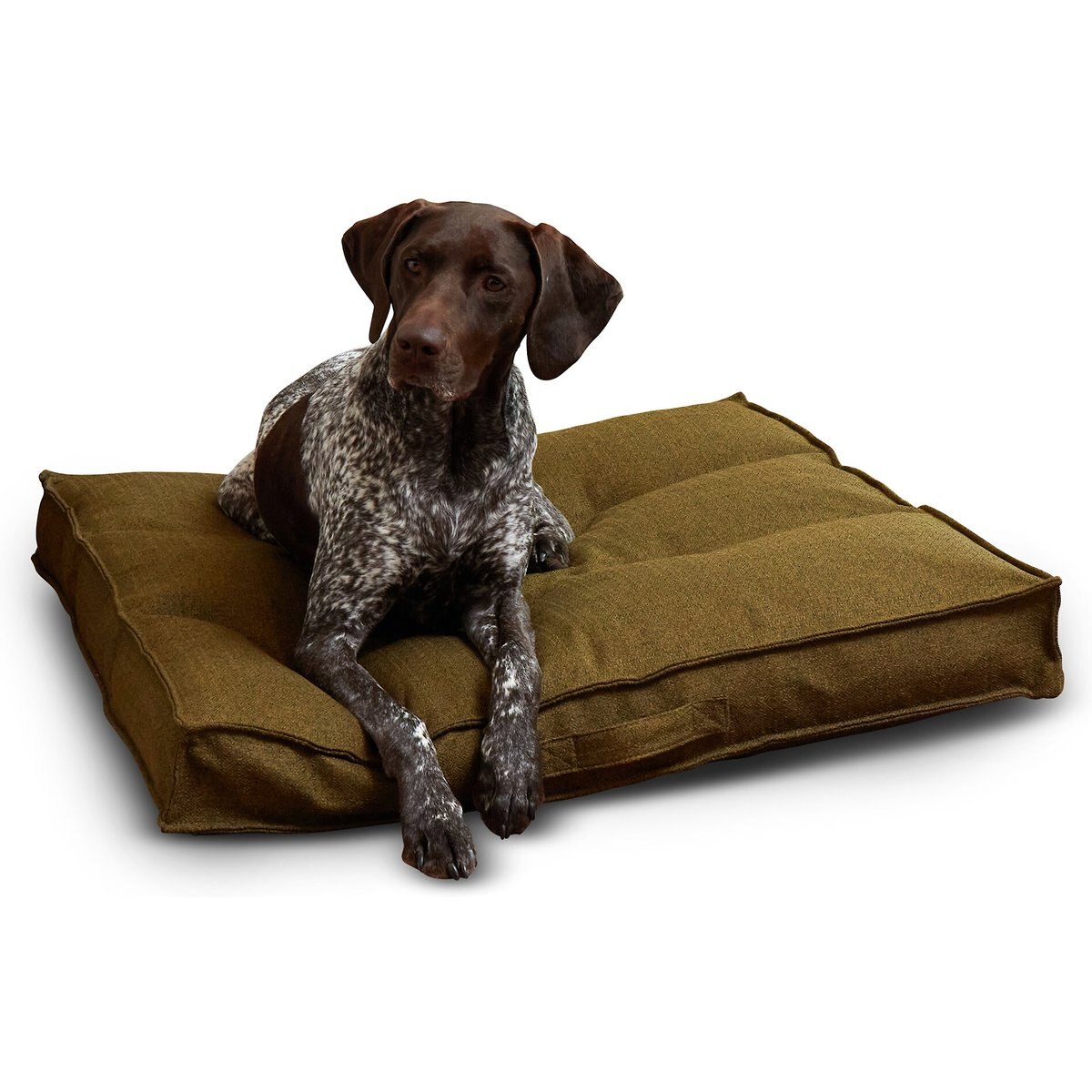 Happy Hounds Milo Square Tufted Pillow Dog Bed, Moss, Medium