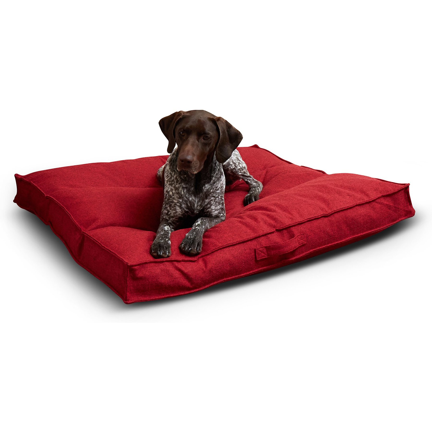 Happy Hounds Milo Square Tufted Pillow Dog Bed, Scarlet, Large
