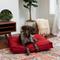 Show in main carousel: Happy Hounds Milo Square Tufted Pillow Dog Bed, Scarlet, Medium slide 3 of 10