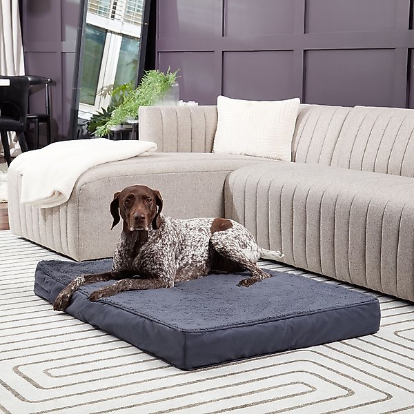 Show full view: Happy Hounds Otis Orthopedic Pillow Dog Bed with Removable Cover, Blue Steel, Large slide 3 of 9
