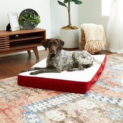 Happy Hounds Otis Orthopedic Pillow Dog Bed with Removable Cover, Crimson, Medium