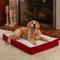 Show in main carousel: Happy Hounds Otis Orthopedic Pillow Dog Bed with Removable Cover, Crimson, Small slide 1 of 7