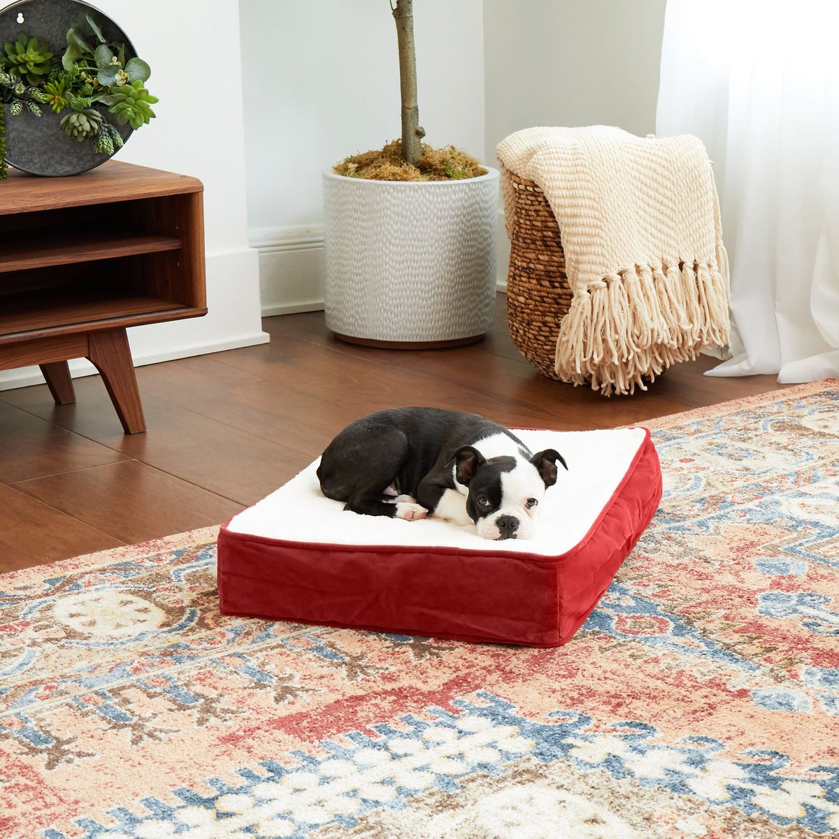 Happy Hounds Otis Orthopedic Pillow Dog Bed with Removable Cover, Crimson, X-Small