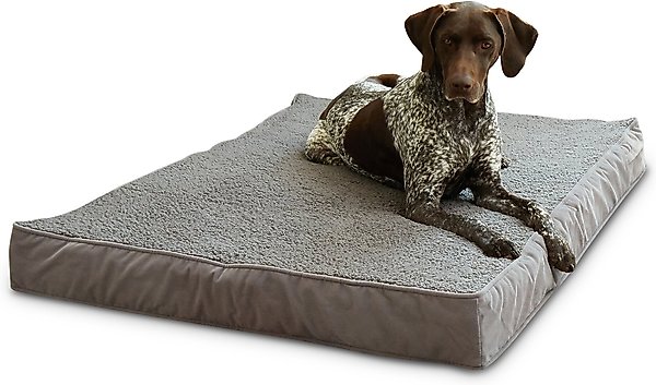 Show full view: Happy Hounds Otis Orthopedic Pillow Dog Bed with Removable Cover, Gray, Large slide 1 of 9