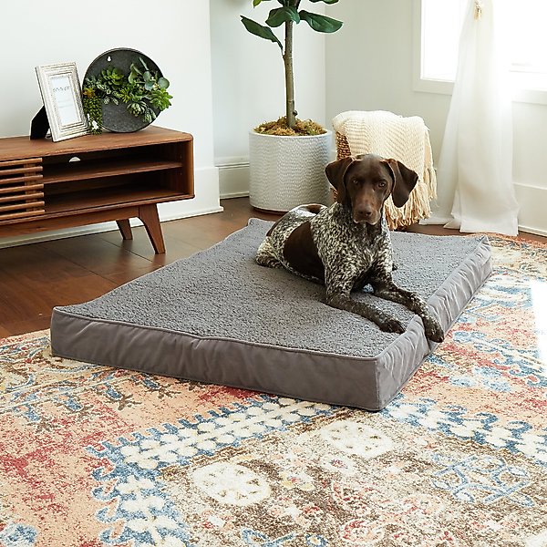 Show full view: Happy Hounds Otis Orthopedic Pillow Dog Bed with Removable Cover, Gray, Large slide 3 of 9
