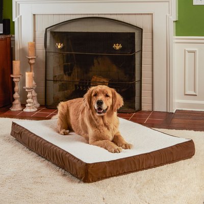 Happy Hounds Otis Orthopedic Pillow Dog Bed with Removable Cover, Latte, Large