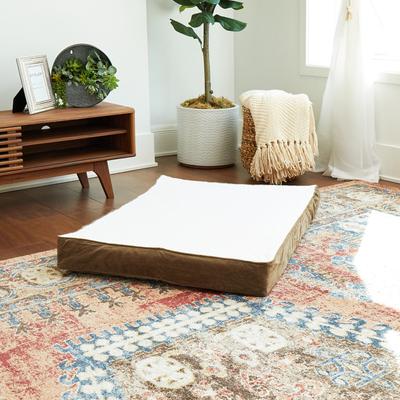 Show full view: Happy Hounds Otis Orthopedic Pillow Dog Bed with Removable Cover, Latte, Medium slide 4 of 8